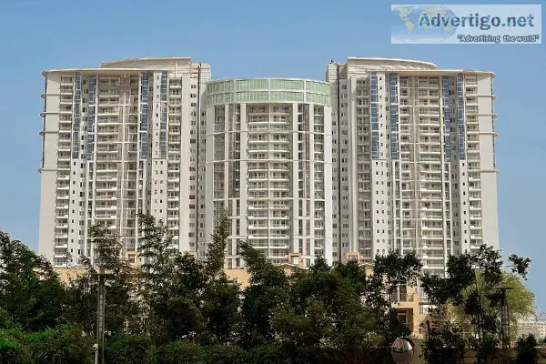 Property for Rent in NH8 Road Gurgaon  Property for Rent in Gurg
