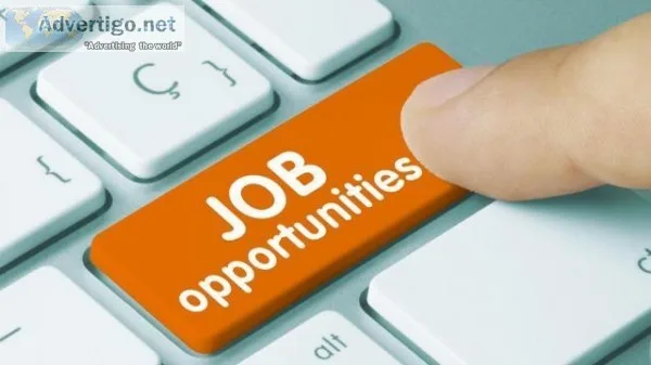 Govt. Registered company hiring for full time workers.