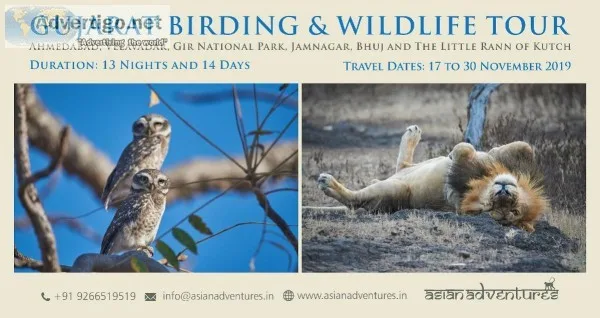 Wildlife and birding photography in india