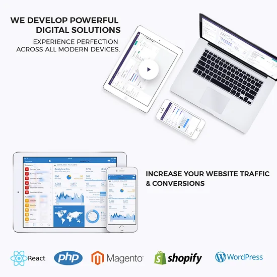 Website Development Kerala  Flaredigital.in