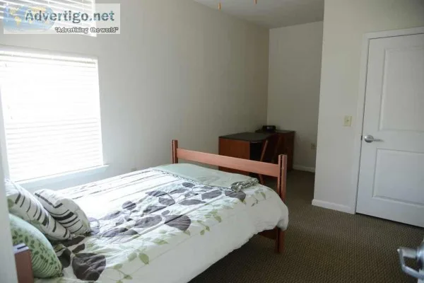Fully Furnished Room Available East 169 and Morris ave