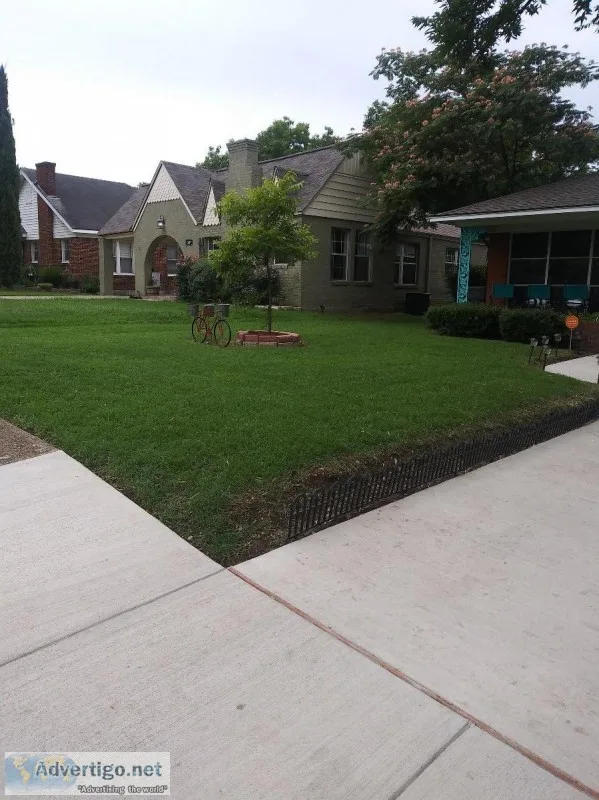 Lawn Technician Provider