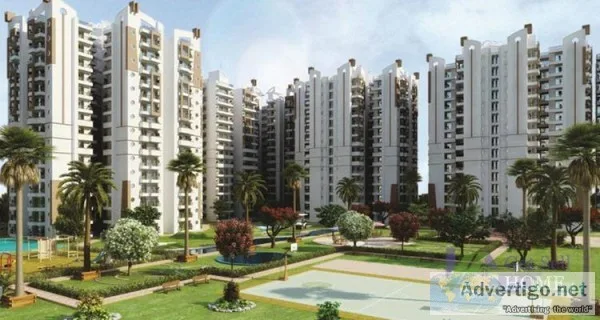 Luxurious Apartments in Ghaziabad  26 L  9250477000
