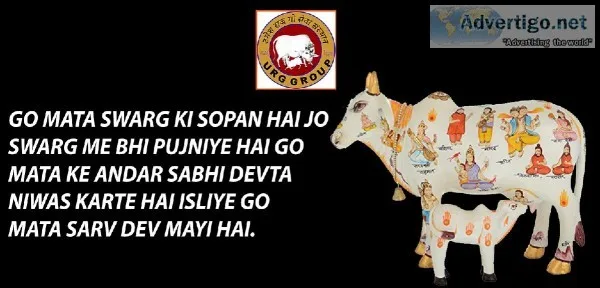 Go seva trust Grab your opportunity to be a Gau Sevak.