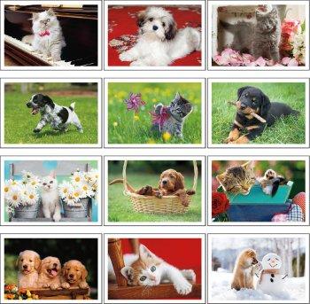Animal and Wildlife Calendars