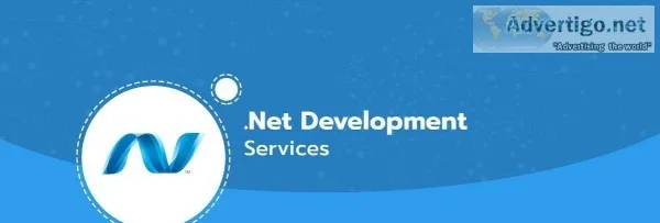 asp .net web development company