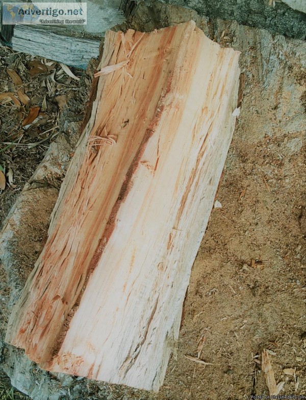 DRY STORED FIREWOOD AXE SPLIT DOWNTOWN ORLANDO