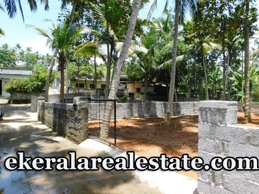 House Plots for Sale at Benedict Nagar Nalanchira