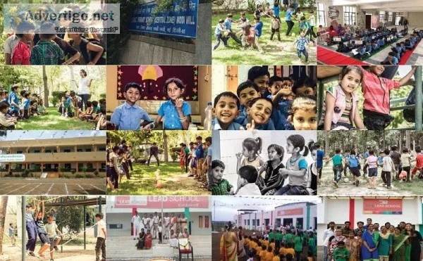 Best Curriculum for Schools  Leadschool.in