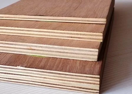 Flush Door manufacturer in Yamuna Nagar