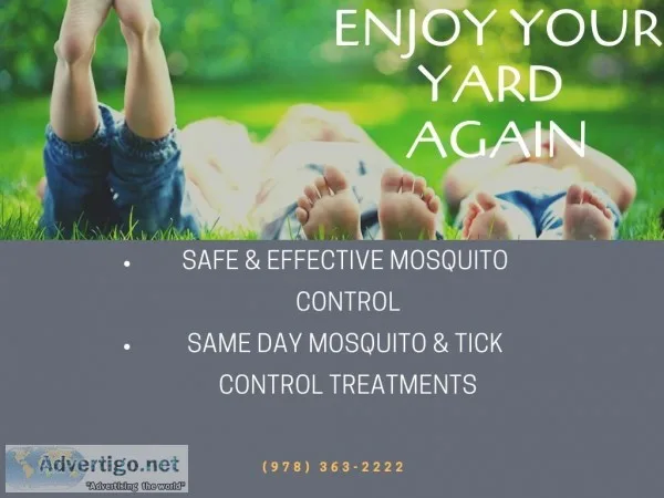 Prevent Outdoor Mosquito