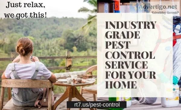 Pest Control NY - Free Visit