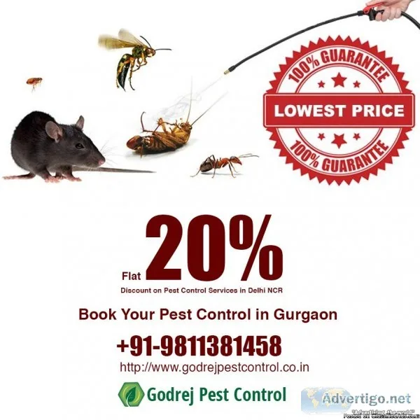 Pest Control Gurgaon  Godrej Pest Control