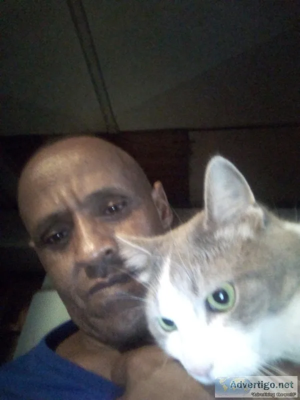 Looking for a Caring and Loving Forever Home (Columbus)