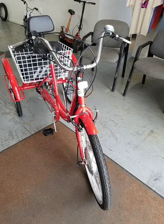 3 Wheel Adult Bicycle