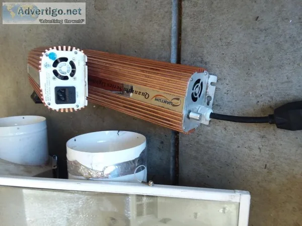 2 lights and ballasts