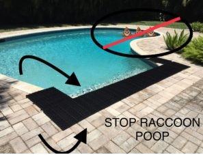 Best Raccoon Deterrent - Critter Pricker