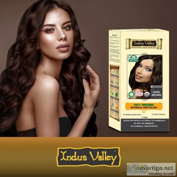 Buy Rich shiny Light Blonde Botanical Hair Color online