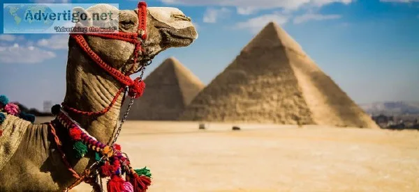 Best Tours to Egypt from USA
