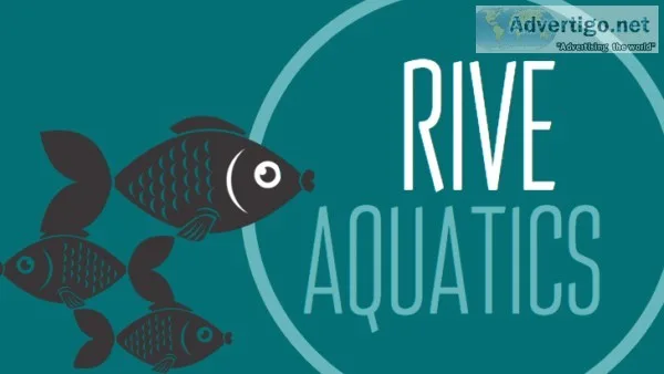 Freshwater Aquarium MaintenanceService