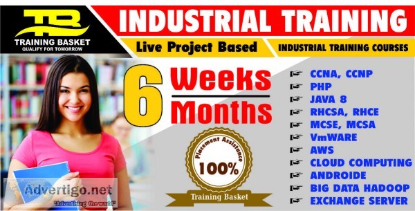 Industrial Training in Delhi Noida  6 Months Industrial Training