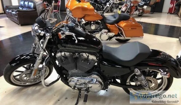 Flawless Harley 883 Sportster