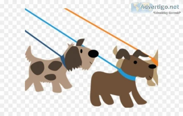 Fairport Dog walker available mon-fri