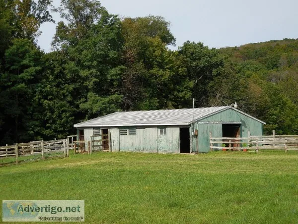 Horse Boarding near Bloomingburg NY 12721