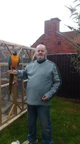 Talented and well tamed Blue and Gold Macaws