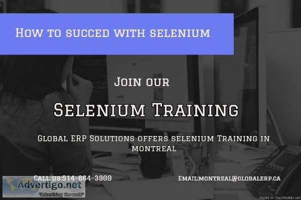 Selenium Beginner level Training in Montreal