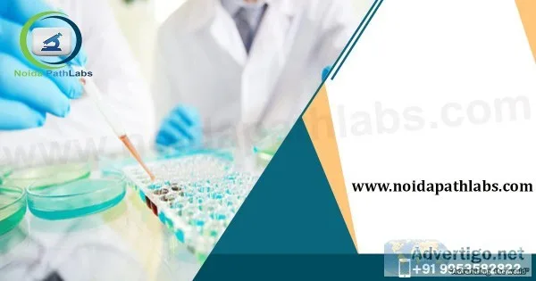 Noida Path Labs - Best Pathology In Noida