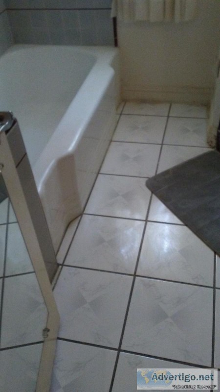 Ambers housecleaning services