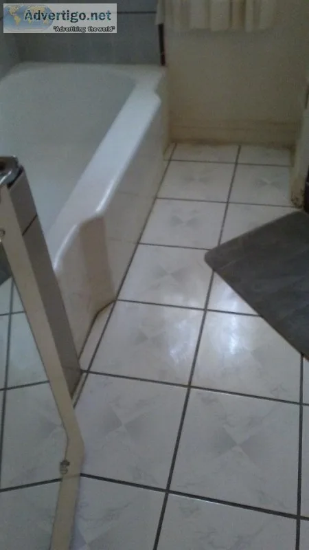 Ambers House Cleaning services