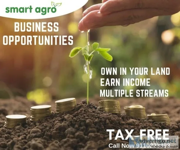 Agriculture Business Plan In India