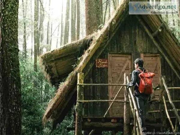 Treehouse building company