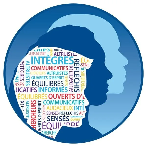ib business management hl sl tutor