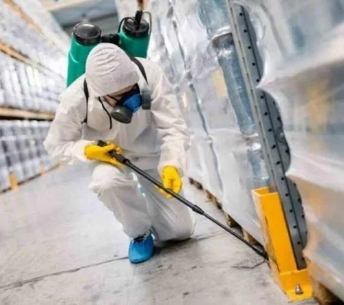 Professional Mice Extermination  Edmonton Exterminators