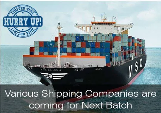 Best Merchant Navy Institute