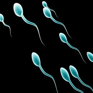 Find the Vasectomy Doctors Near Me