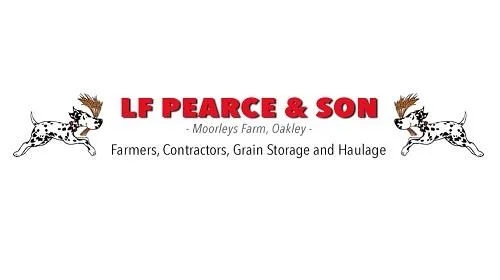 Best Grain Colour Sorter Company In South-East