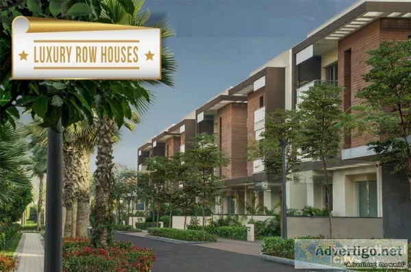International City Gurgaon
