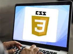 Interested in Best Wordpress Development Company in Delhi India