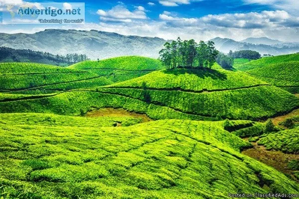 Travelling Shouldn&rsquot be Just a Tour it should be a tale.