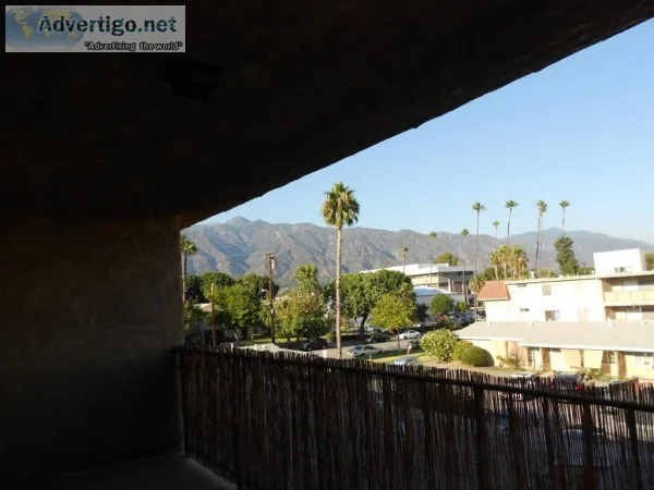 SPACIOUS -WITH VIEW-UPGRADED CONDO