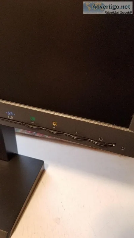 Lenovo ThinkVision L1951P 19&quot Widescreen LCD Monitor