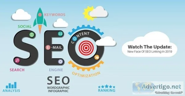 Best SEO Provider in India