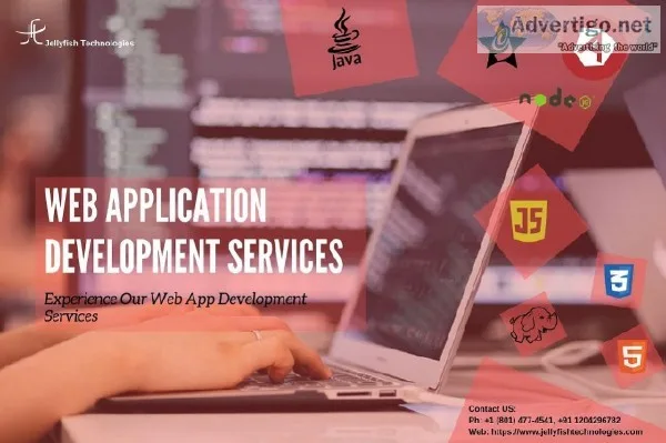 Experience Web Application Development Services