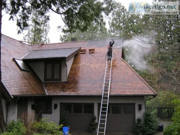 Roof Cleaning and Moss Removal Services in Vancouver