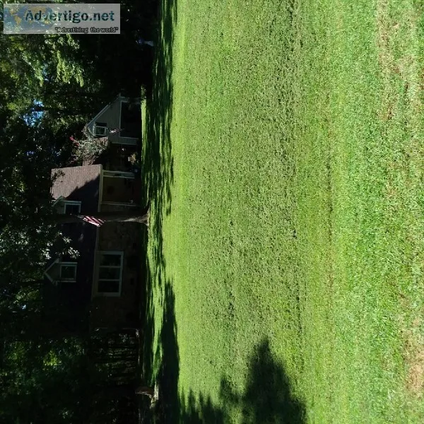 AERATING AND SEEDING Yards Professional