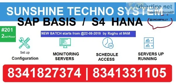 sunshine  best institute for SAP BASIS